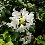 Huettendorf Fuer Euch Alleine - Gefuehrter Yachtausflug Nach Prieros Inclusive! Nur 3 Minuten Zum Badesee Fahrraeder Kostenlos Vorhanden アパート *