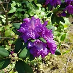 アパート Huettendorf Fuer Euch Alleine - Gefuehrter Yachtausflug Nach Prieros Inclusive! Nur 3 Minuten Zum Badesee Fahrraeder Kostenlos Vorhanden Groß Köris