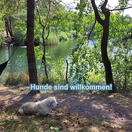 Huettendorf Zur Alleinnutzung - Gefuehrter Yachtausflug Nach Prieros Inclusive! Nur 3 Minuten Zum Badesee Fahrraeder Kostenlos Vorhanden شقة *