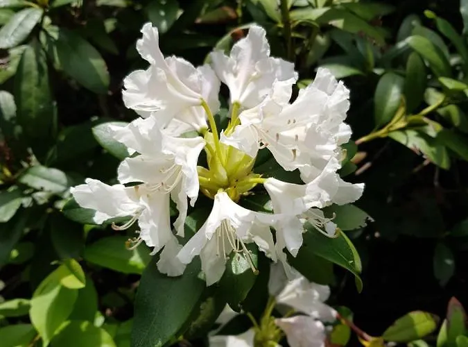 Huettendorf Fuer Euch Alleine - Gefuehrter Yachtausflug Nach Prieros Inclusive! Nur 3 Minuten Zum Badesee Fahrraeder Kostenlos Vorhanden Daire *
