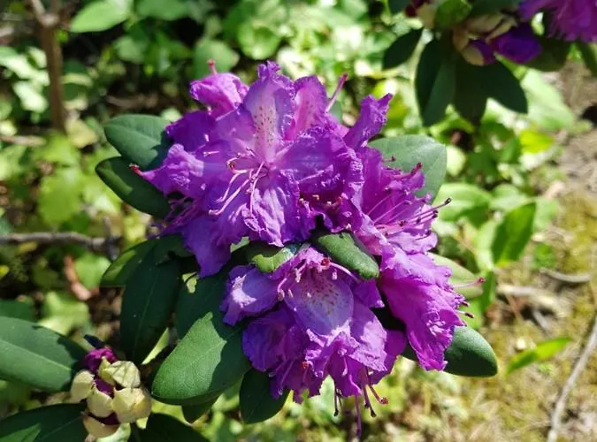 شقة Huettendorf Fuer Euch Alleine - Gefuehrter Yachtausflug Nach Prieros Inclusive! Nur 3 Minuten Zum Badesee Fahrraeder Kostenlos Vorhanden Groß Köris